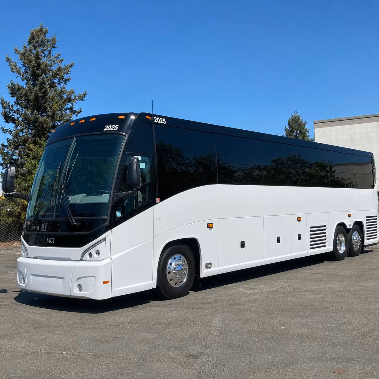school groups and universities book long distance transportation out of tampa year round