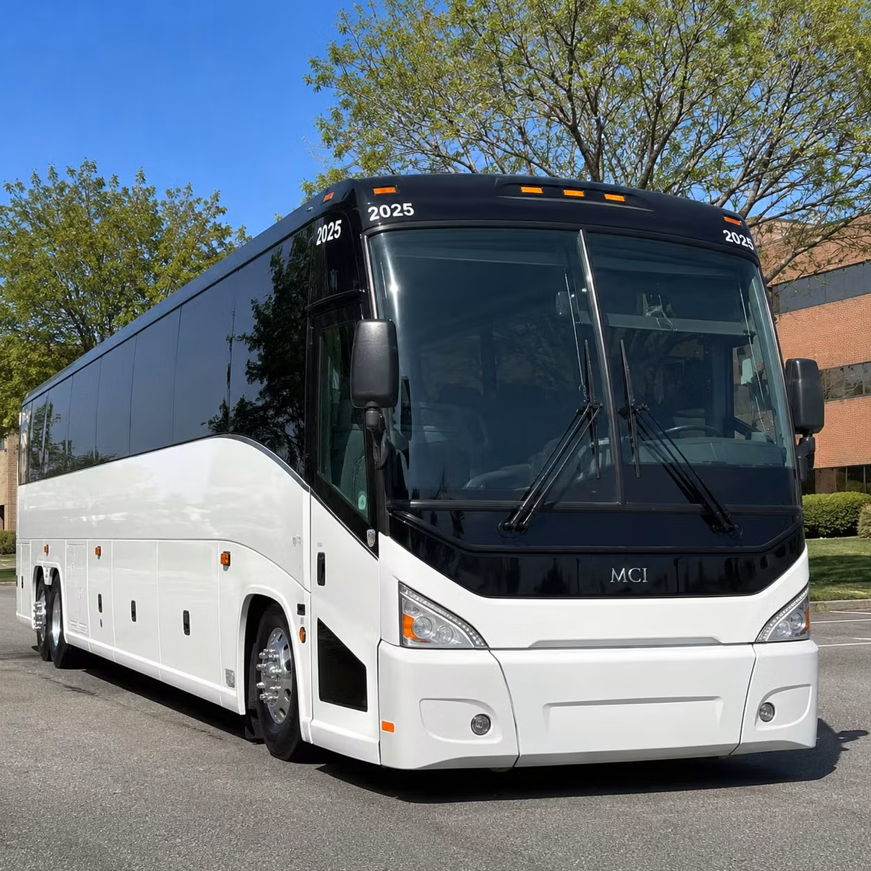 senior member accessibility focused church transportation in tampa