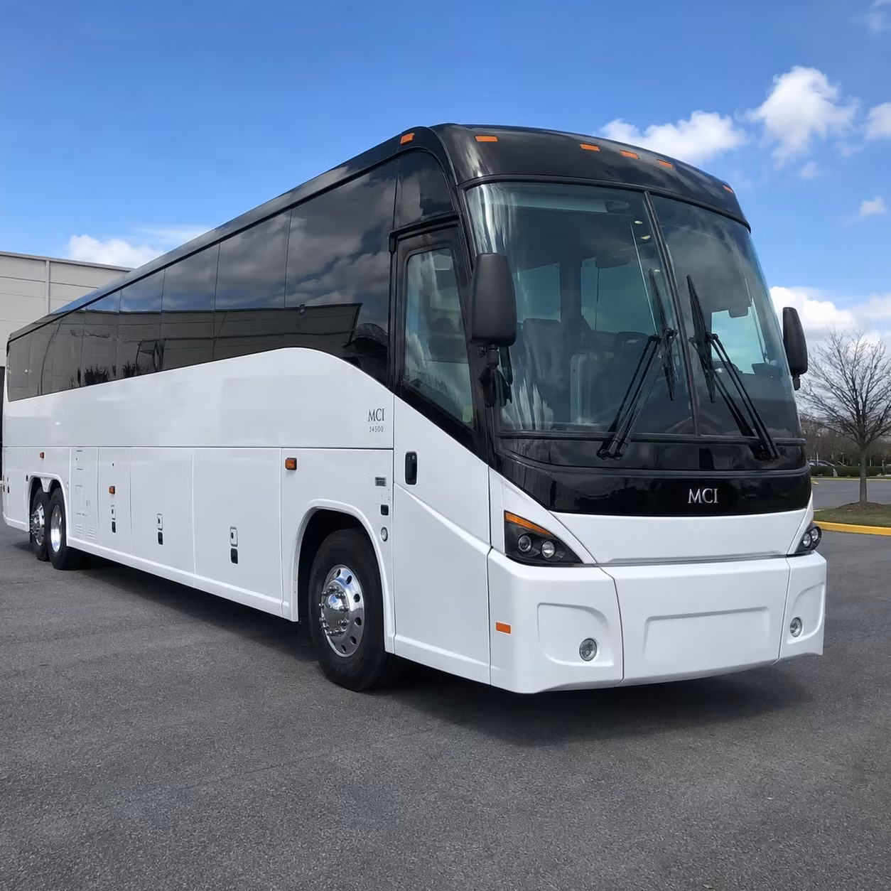 sports teams and fan groups rely on tampa long distance charter buses for away games