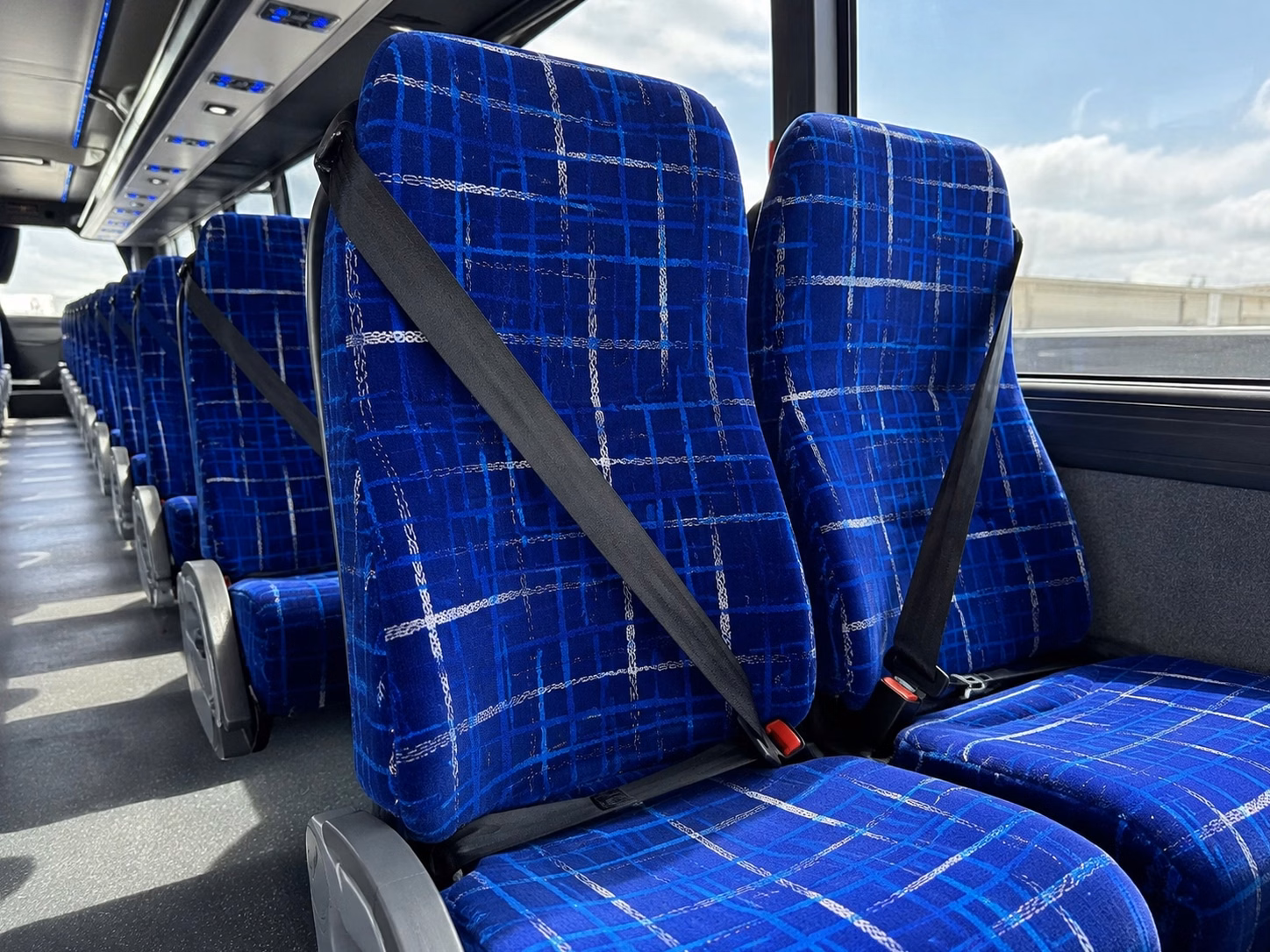 tampa charter buses