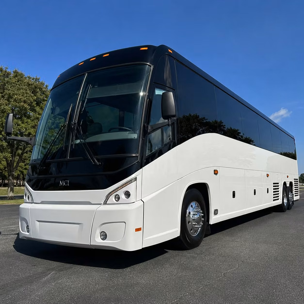 tampa groups heading to cruise ports love long distance charter bus transfers